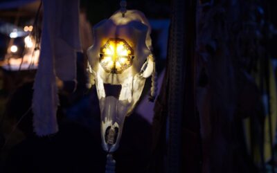 KN 2026 – předprodej zahájen!